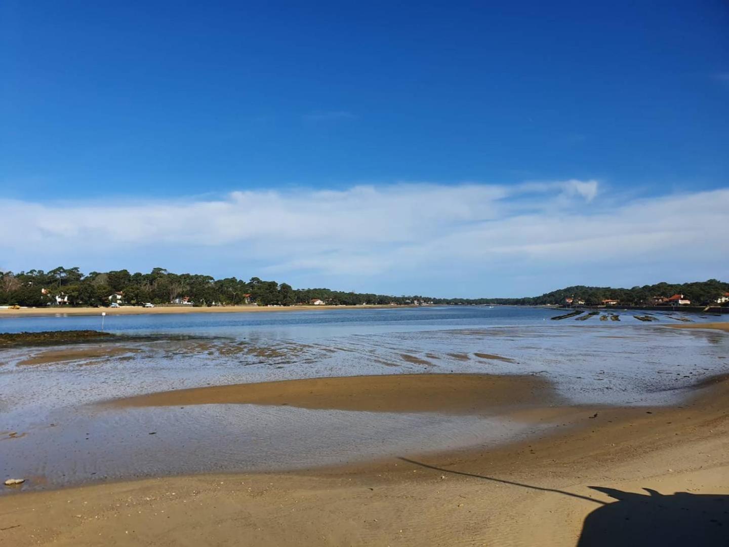 Terrasses Saint Georges - Un Emplacement Exceptionnel Au Centre-Ville Et Au Calme A Quelques Pas Du Lac Marin Soorts-Hossegor Kültér fotó